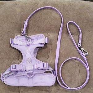 Wild One Lilac Dog Harness and leash
